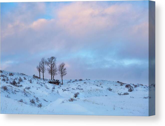 Winter Canvas Print featuring the photograph Party Of Five by Denise Bush