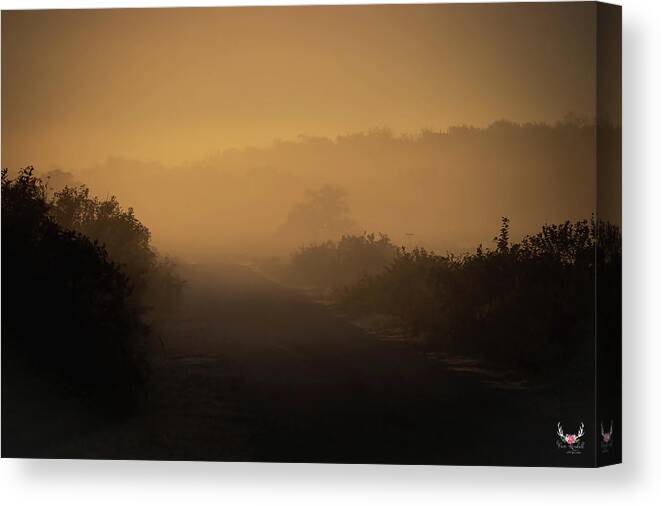 Misty Canvas Print featuring the photograph Path into the Mist by Pam Rendall