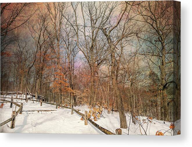 Bronx Botanical Gardens Canvas Print featuring the photograph Peace and Quiet by Cate Franklyn