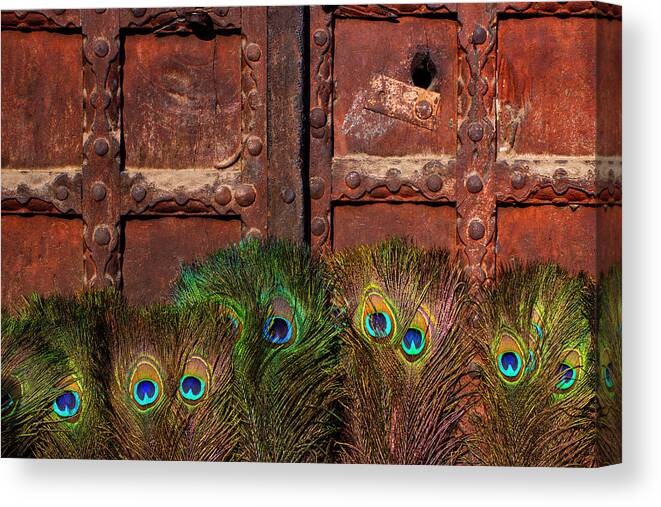 Minimalism Canvas Print featuring the photograph Peacock Feathers by Prakash Ghai