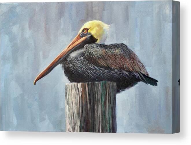 Pelican Canvas Print featuring the painting Pelican Post by Laurie Snow Hein