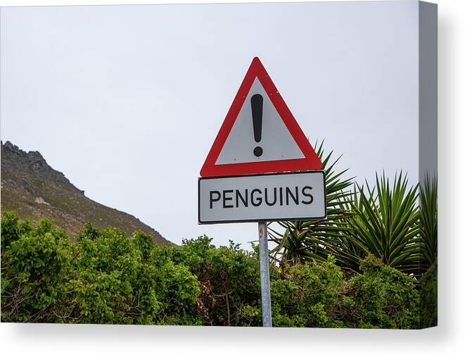 Sign Canvas Print featuring the photograph Penguins Road Sign by Bill Cubitt