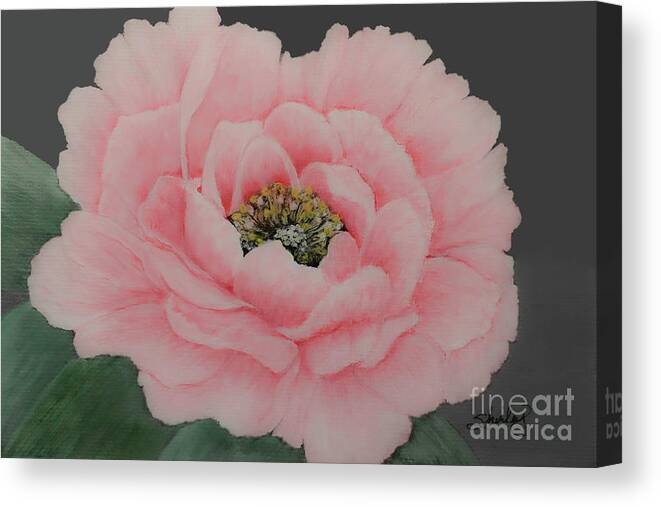Peony Canvas Print featuring the painting Perfectly Pink by Shirley Dutchkowski