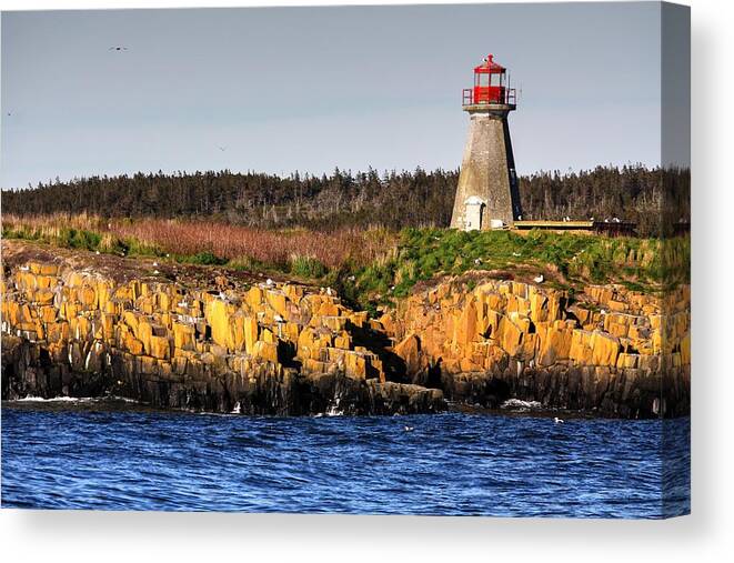 Light House Island Peters Island Gulls Rocks Sea Ocean Nova Scotia Canvas Print featuring the photograph Peters Light House by David Matthews