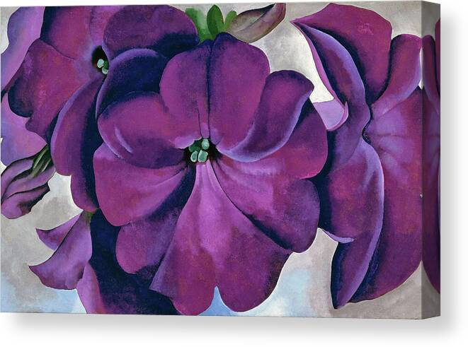 Georgia O'keeffe Canvas Print featuring the painting Petunias - Modernist purple flower painting by Georgia O'Keeffe