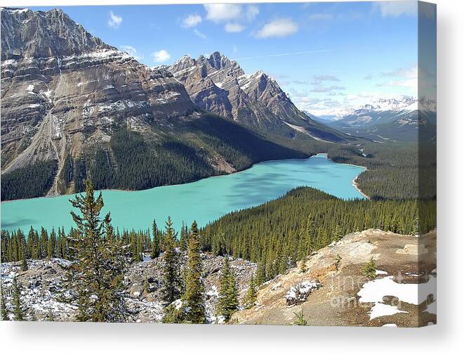 Scenery Canvas Print featuring the photograph Peyto Lake - Banff National Park - Alberta - Canada by Paolo Signorini