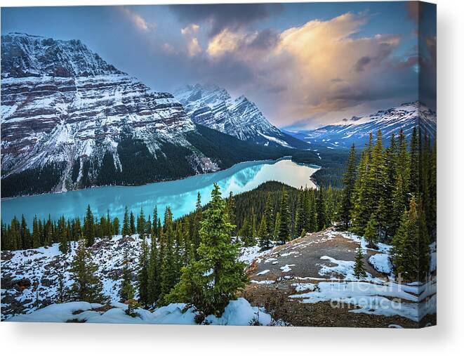 Alberta Canvas Print featuring the photograph Peyto Lake Winter by Inge Johnsson