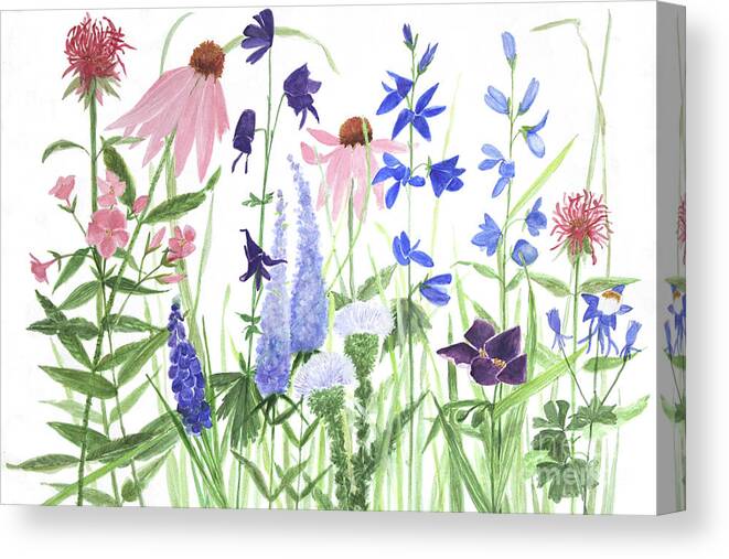 Phlox Canvas Print featuring the painting Phlox Speedwell Monkshood Garden by Laurie Rohner