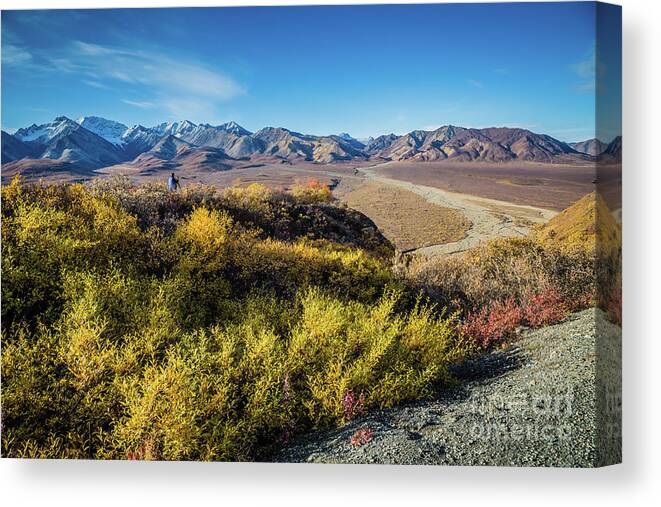 Polychrome Overlook Canvas Print featuring the photograph Photographer at Polychrome Overlook by Eva Lechner