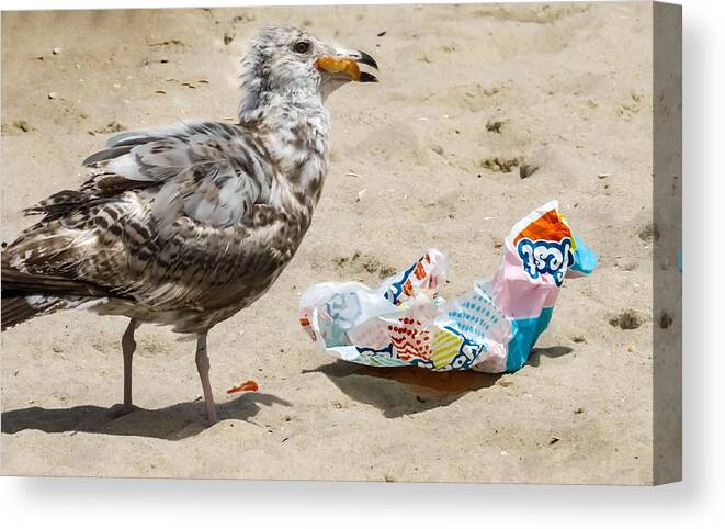 Birds Canvas Print featuring the photograph Picnic on the Beach by Linda Stern