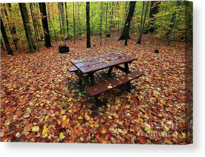 Fall Canvas Print featuring the photograph Picnic table, Fall by Kevin Shields