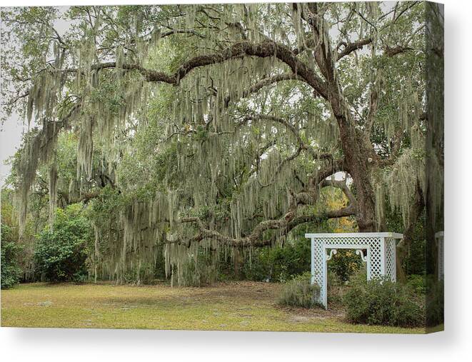 Charleston Canvas Print featuring the photograph Picture Perfect by Cindy Robinson