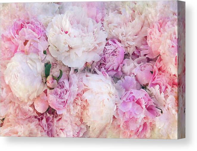 Peonies Canvas Print featuring the photograph Pink and White Peonies by Peggy Collins