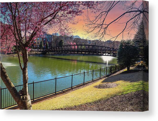 Tree Canvas Print featuring the photograph Pink Trees at The Commons Park by Marcus Jones