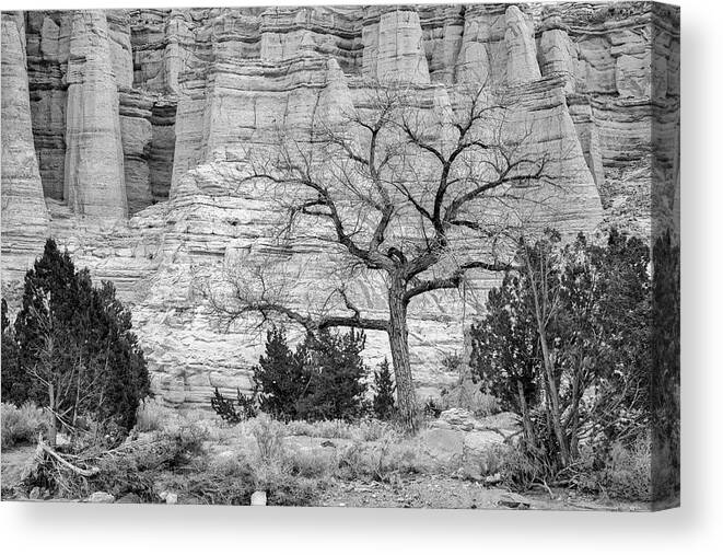 Landscapes Canvas Print featuring the photograph Plaza Blanca New Mexico by Mary Lee Dereske