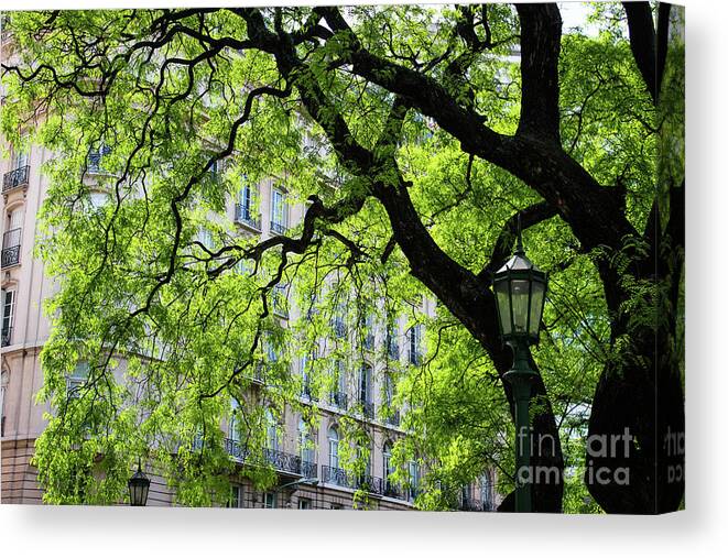 Buenos Aires Canvas Print featuring the photograph Plaza San Martin by Wilko van de Kamp Fine Photo Art