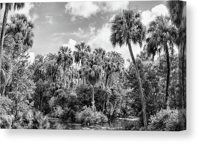 Florida Canvas Print featuring the photograph Pond in the Florida Jungle by Robert Wilder Jr