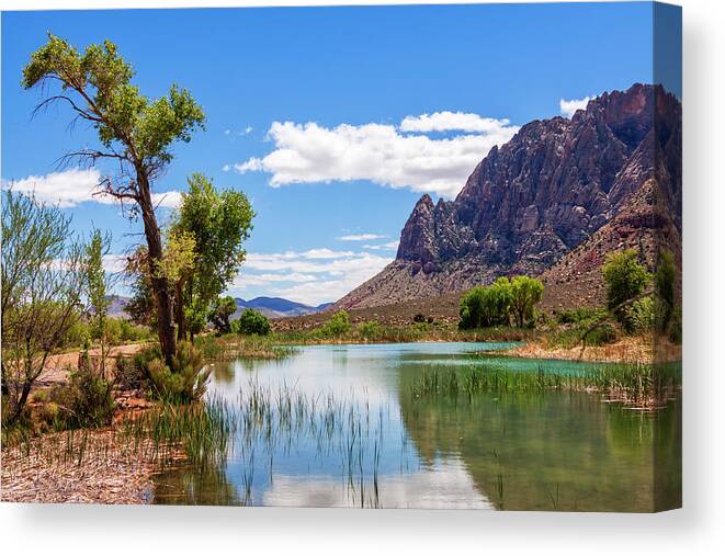 Pond Reflections Canvas Print featuring the photograph Pond reflections in Mohave Desert, Nevada by Tatiana Travelways