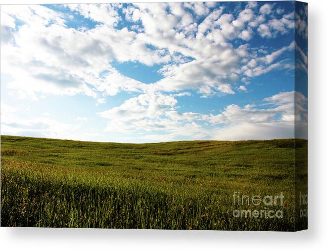 Calgary Canvas Print featuring the photograph Prairie Field by Wilko van de Kamp Fine Photo Art