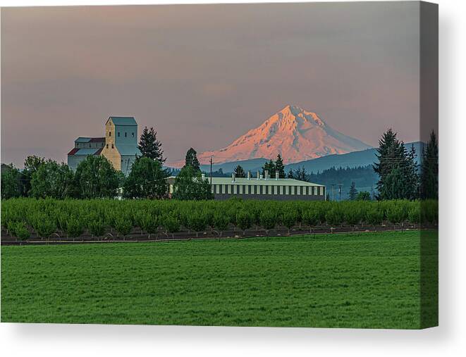  Canvas Print featuring the photograph Pratum in the valley by Ulrich Burkhalter