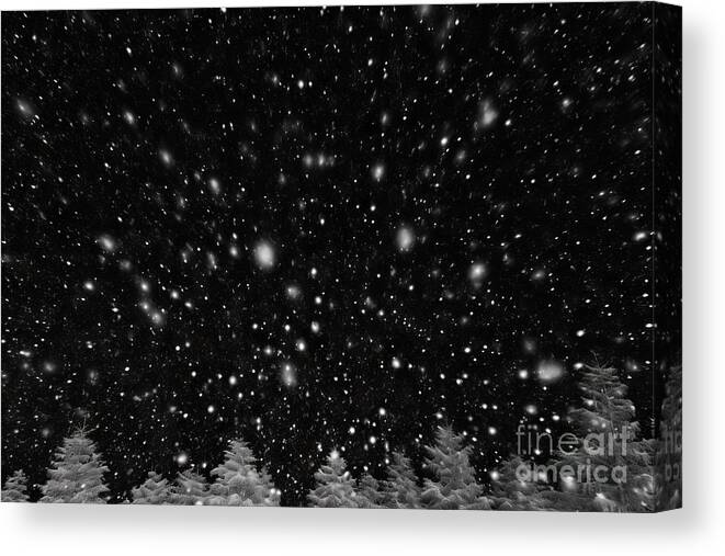 Snow Canvas Print featuring the painting premium Falling snow isolated on black background by N Akkash