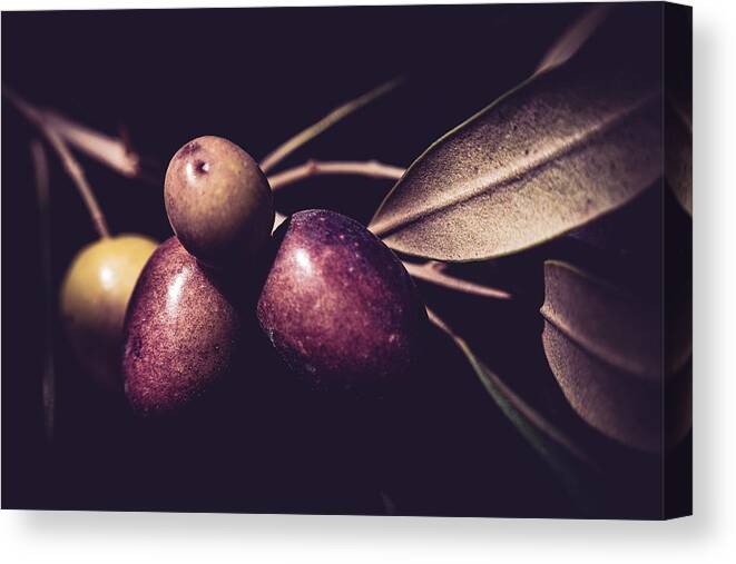 Olive Canvas Print featuring the photograph Promises by Bonny Puckett
