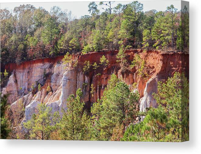 Providence Canyon State Park Canvas Print featuring the photograph Providence Canyon Wall Stare by Ed Williams