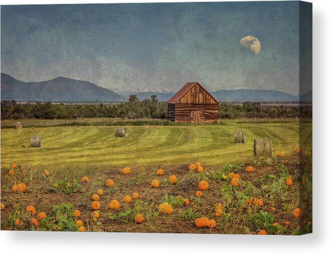Pumpkins Canvas Print featuring the photograph Pumpkin Field Moon Shack by Patti Deters