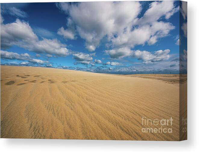Sand Canvas Print featuring the photograph Purely Simple by Anthony Heflin