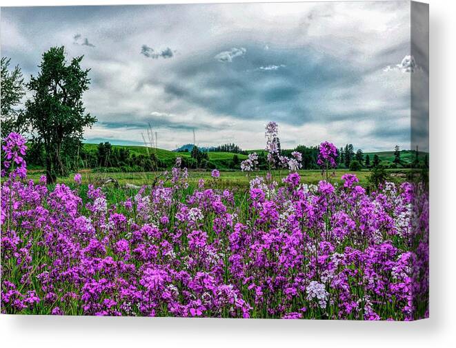 Landscape Canvas Print featuring the photograph Purple With A Mood by Pamela Dunn-Parrish