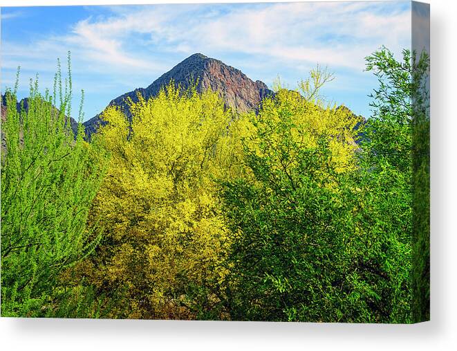Arizona Canvas Print featuring the photograph Pusch Peak Spring 25093 by Mark Myhaver