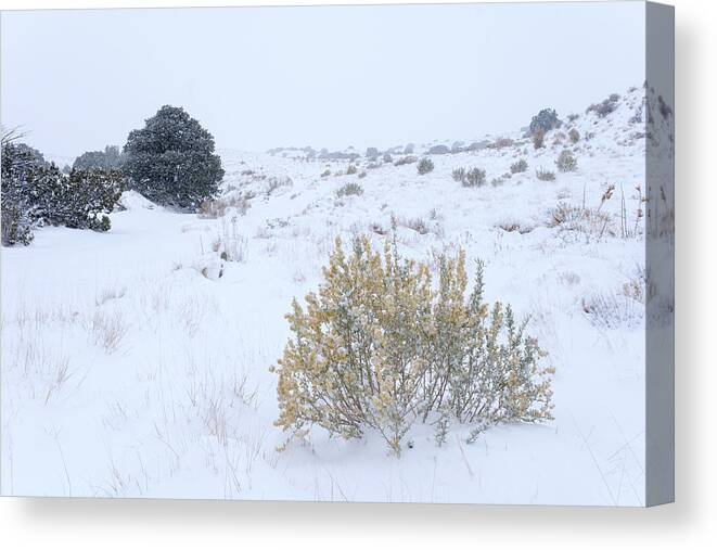 Landscapes Canvas Print featuring the photograph Quiet New Mexico Landscape by Mary Lee Dereske