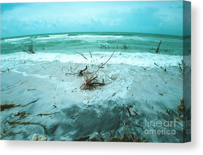 Raging Sea Canvas Print featuring the photograph Raging Sea by Felix Lai