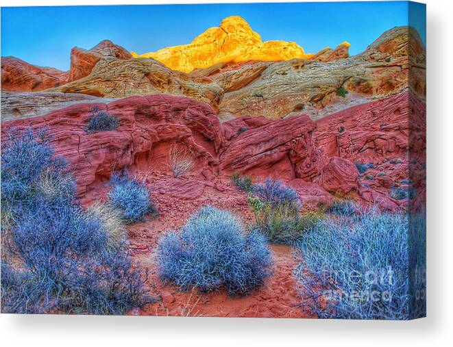  Canvas Print featuring the photograph Rainbow Sherbet by Rodney Lee Williams