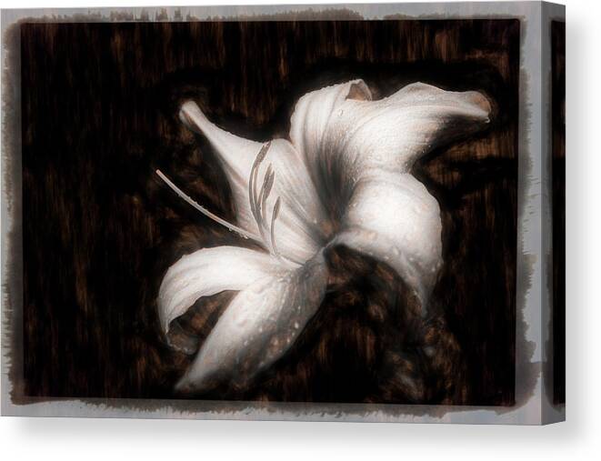 Dew Canvas Print featuring the photograph Raindrops on the Lilies Textured and Bordered Art by Debra and Dave Vanderlaan