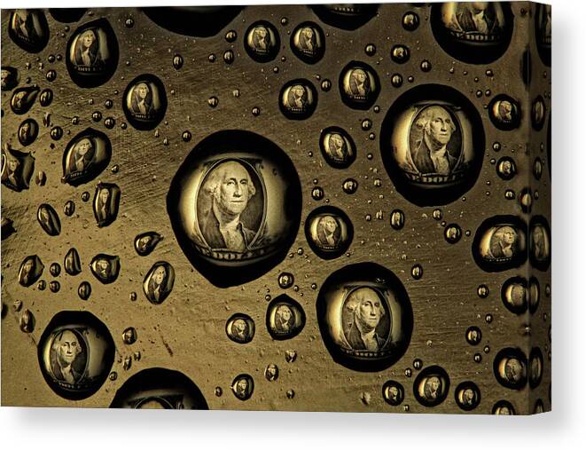 Macro Canvas Print featuring the photograph Raining Dollars by Jim Painter