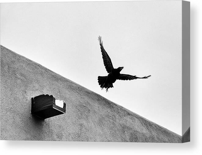 Black And White Canvas Print featuring the photograph Raven Flies Away by Mary Lee Dereske