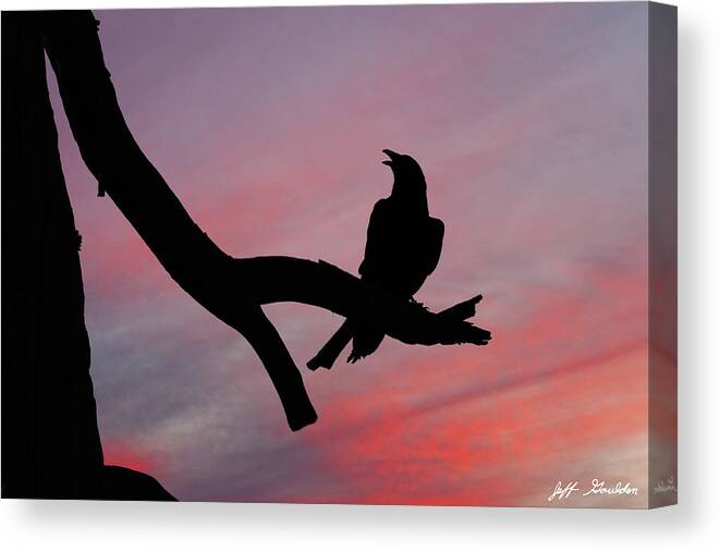 Adult Canvas Print featuring the photograph Raven Silhouette by Jeff Goulden