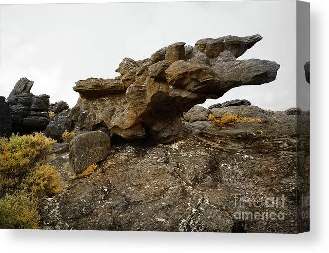 Rock Canvas Print featuring the photograph Reach by Russell Brown