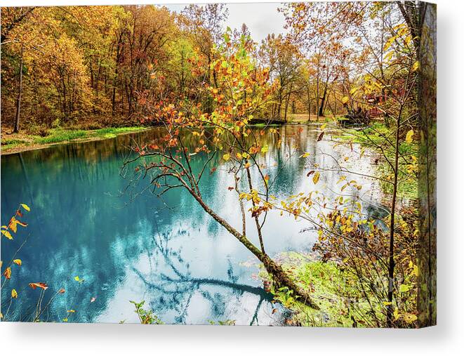 Eminence Canvas Print featuring the photograph Reaching Out by Jennifer White
