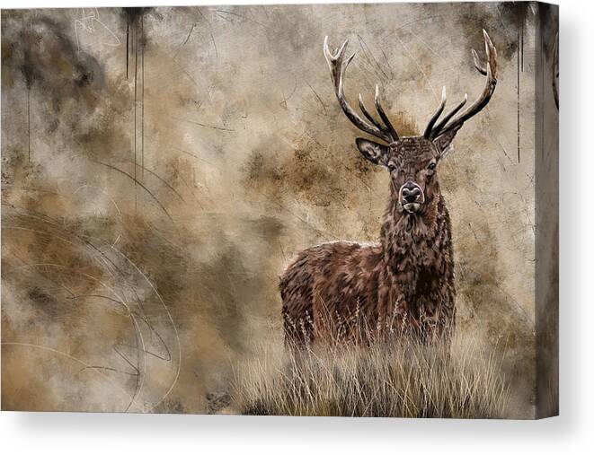 Deer Canvas Print featuring the mixed media Red Deer by Shawn Conn