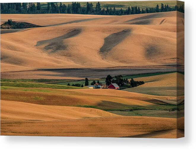 Farm Canvas Print featuring the photograph Red Farmhouse in the Wheat Fields by Connie Carr