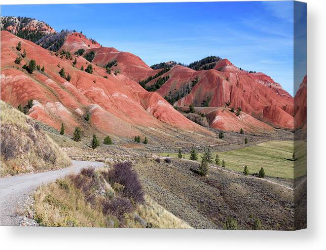 Grand Teton National Park Canvas Print featuring the photograph Red Hills of the Gros Ventre by Kathleen Bishop