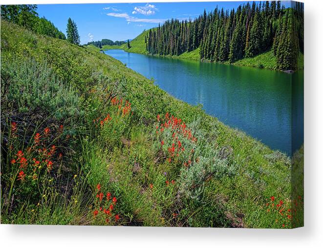 Crested Butte Canvas Print featuring the photograph Red Paintbrush at Long Lake by Lynn Bauer