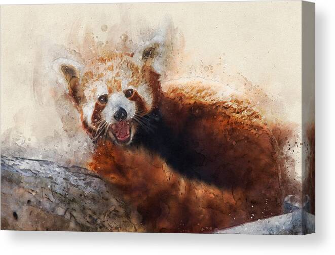 Red Panda Canvas Print featuring the digital art Red Panda by Geir Rosset