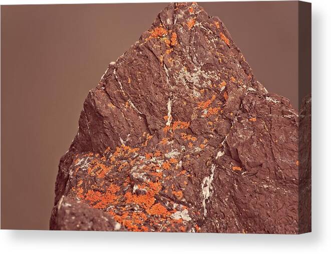 Abstract Canvas Print featuring the digital art Red Rock, Oragge Moss by David Desautel