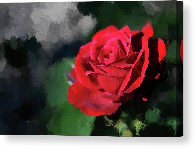 Beautiful Canvas Print featuring the painting Red Rose by Roger Snyder