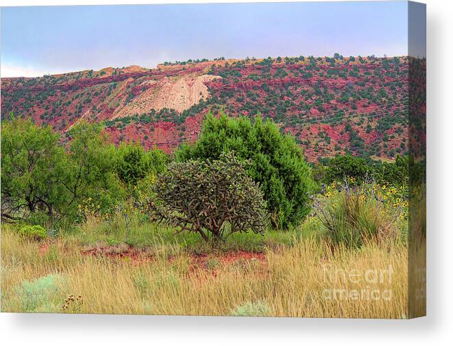 Landscape Canvas Print featuring the photograph Red Terrain - New Mexico by Diana Mary Sharpton