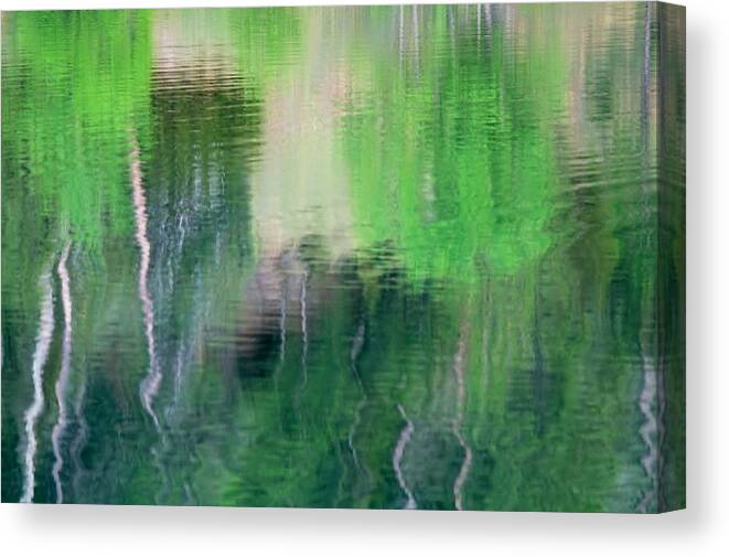 Water Canvas Print featuring the photograph Reflect by Donald J Gray