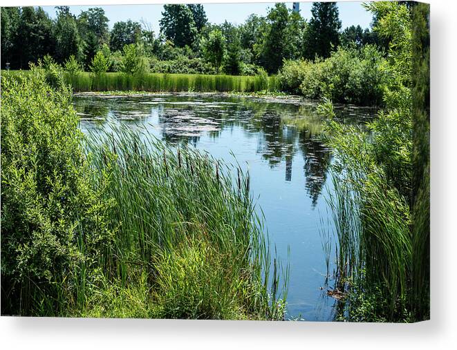 Reflections In A Pond Canvas Print featuring the photograph Reflections in A Pond by Tom Cochran